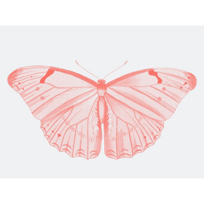 Wee Blue Coo Unframed Wall Art Living Coral Butterfly12X16 Inch from B&Q