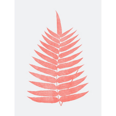 Wee Blue Coo Unframed Wall Art Living Coral Fern12X16 Inch from B&Q