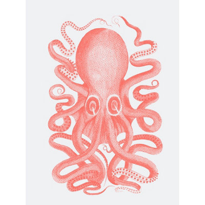 Wee Blue Coo Unframed Wall Art Living Coral Octopus12X16 Inch from B&Q