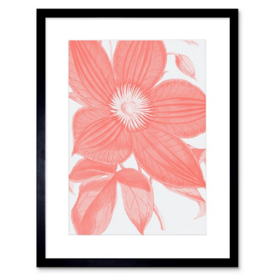 Artery8 Wall Art Print Living Coral Clematis Flower Art Black Framed 9X7 Inch from B&Q