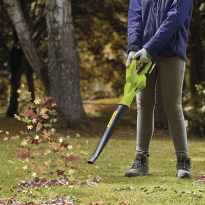 Garden Gear Cordless Leaf Blower With Lithium-Ion Battery Pack (20V Leaf Blower) from B&Q