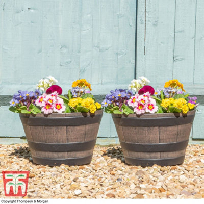 Garden Gear Garden Wooden Effect Barrel PlanterOutdoor Or Indoor Half Whiskey Cask Flower Pot (X1 Small) from B&Q