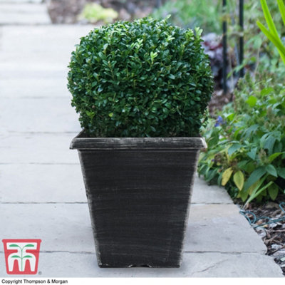B&Q -  Biscotti Decorative Square Garden Planter In Brushed Silver Lightweight Flower Pots With Pre-Drilled Drainage Holes (X2)