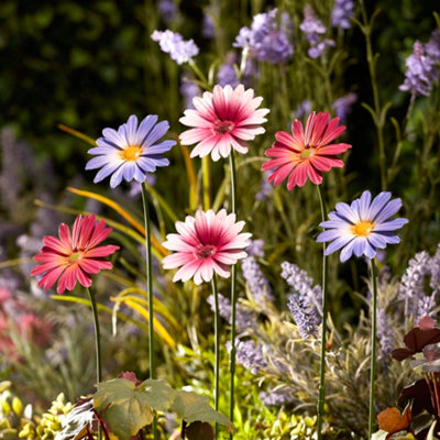 Garden Gear Metal Daisy Stakes Decorative OrnamentSet Of 12 (Purple/pink/magenta) from B&Q