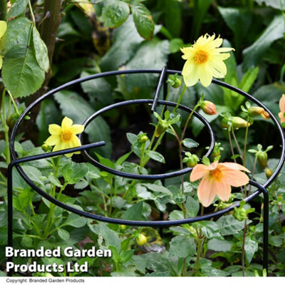 Garden Gear Xl Double Round Grow Through Grid Support D40Cm X 1 from B&Q