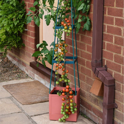 Garden Gear Self Watering 4 Tier Tomato Tower Jumbo Fruit & Vegetable Vine PlantSupport Grower1.5M Weatherproof Tower Garden Planter (X3) from B&Q