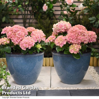Garden Gear Glazed Effect Planter 39.5cm Blue Plastic - Pack of 2 - Image 6
