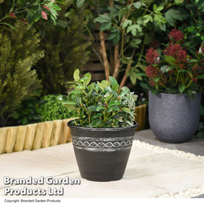 Garden Gear Roman-Greco Design Planter Garden Outdoor Patio 27.5Cm (X2) from B&Q