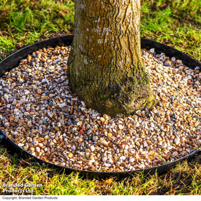Garden Gear Circular Heavy Duty Metal Border Edging For BushesShrubs & Trees 60Cm Diameter (Black) from B&Q