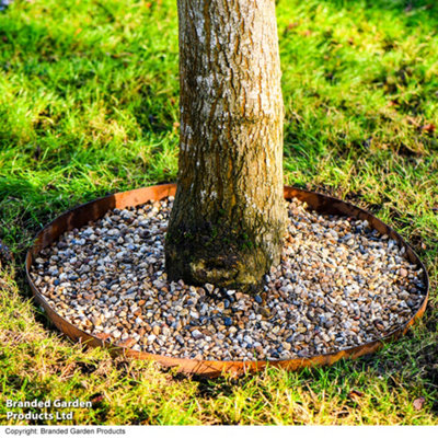 Garden Gear Circular Heavy Duty Metal Border Edging For BushesShrubs & Trees 90Cm Diameter (Corten Steel) from B&Q