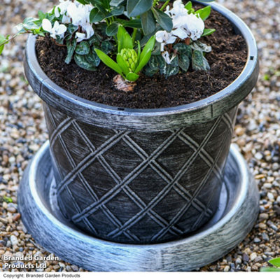 Garden Gear 42cm Black Plastic Plant Pot with Saucer - 2 Pack - Image 5