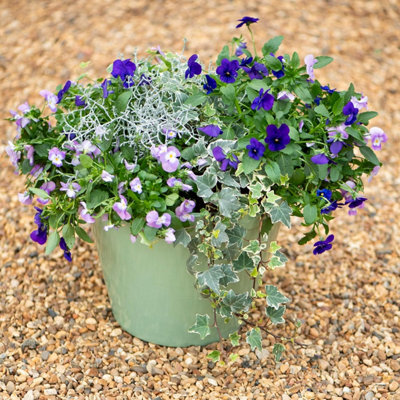 Garden Gear Lindos Glazed Effect Planter Sage Green (D33 X H25.5Cm) from B&Q