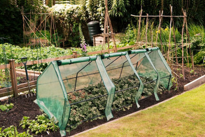 Garden Gear Xxl Apex Cloche Greenhouse For Plant Protection from B&Q