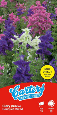 Thompson & Morgan Carters Clary Bouquet Mixed Seeds Heirloom Mix Easy To Grow Garden Annuals Pollinator-Friendly Blooms Cut Flowers 35 Seed Packet from B&Q