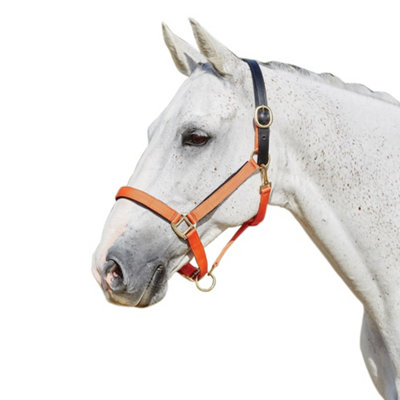 Kincade Deluxe Webbed Headcollar With Leather Crown Orange (Full) from B&Q