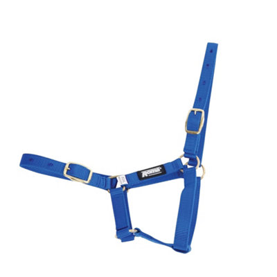 Roma Foal Headcollar - Image 3