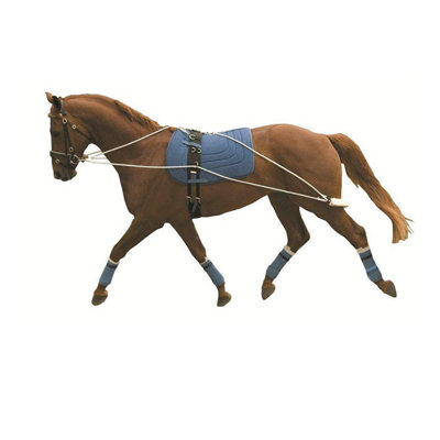 Kincade Lunging Training System May Vary (One Size) from B&Q