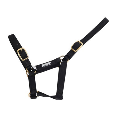 B&Q Roma Foal Headcollar (Foal) Black
