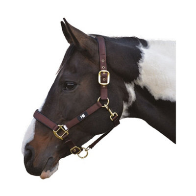 Hy Grand Prix Head Collar Chocolate Brown (Full) from B&Q