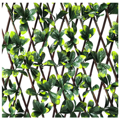 Expanding Wooden Trellis Privacy Screen200Cm X 100CmGarden Balcony FenceBayberry from B&Q