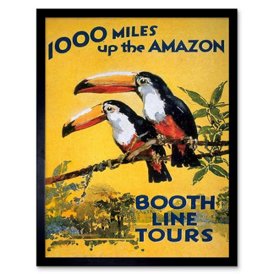 Artery8 Toucan River Brazil South America Jungle Rain Forest Framed Wall Art Print from B&Q