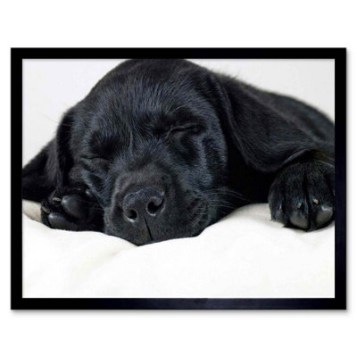 Artery8 Labrador Retriever Black Puppy Photo Home Decor 12X16" Framed Wall Art Print