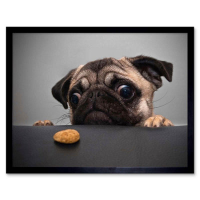 B&Q -  Animal Photography Pug Dog Treat Food Eyes 12X16" Framed Wall Art Print