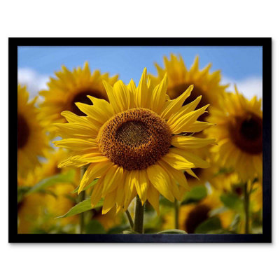 Artery8 Composition Flower Sunflower Yellow Petal Macro Framed Wall Art Print from B&Q