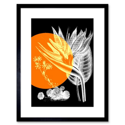 Artery8 Wall Art Print Colour Pop Circle Plant Artwork Framed 9X7 Inch from B&Q