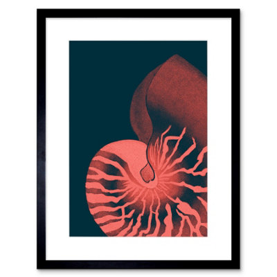 Artery8 Wall Art Print Pink Seashell Nautilus Artwork Framed 9X7 Inch from B&Q