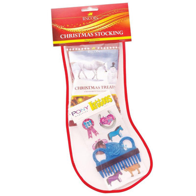 Lincoln Pony Mad Stocking May Vary (One Size) from B&Q