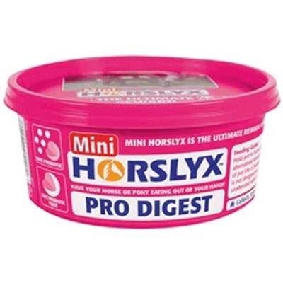 Horslyx Mini Licks Pro Digest (12 Pack) from B&Q
