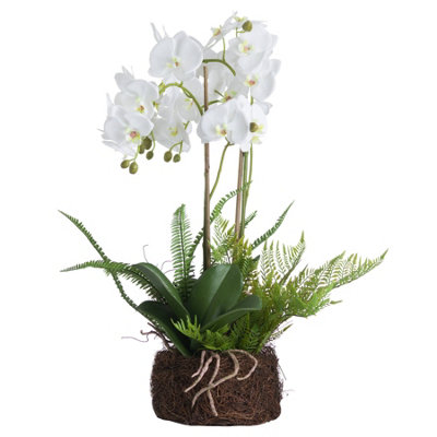 B&Q -  Orchid And Fern Garden White (One Size)