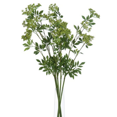 B&Q -  Faux Ammi Green (One Size)