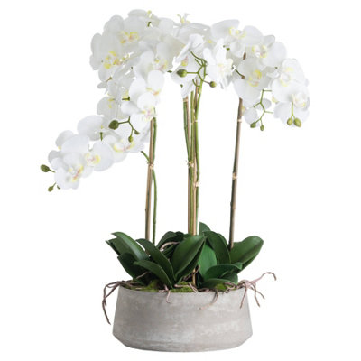 B&Q -  Orchid In Stone Pot White (One Size)