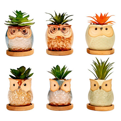 Simpa 6Pc Assorted Shaped Owl Ceramic Plant Pots With Bamboo Base from B&Q
