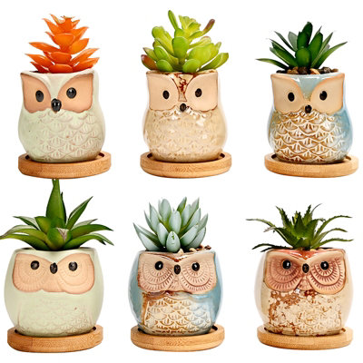 Simpa 6Pc Funky Owl Themed Ceramic Plant Pots With Bamboo Base from B&Q