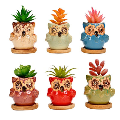 Simpa 6Pc Flower Eye Owl Ceramic Plant Pots With Bamboo Base from B&Q