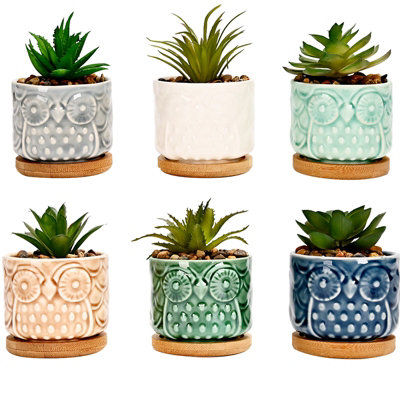 Simpa 6Pc Colour Glazed Owl Ceramic Plant Pots With Bamboo Base from B&Q