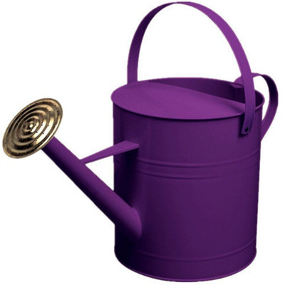 Simpa 9 Litre / 2 Gallon Purple Galvanised Watering Can With Brass Rose. from B&Q