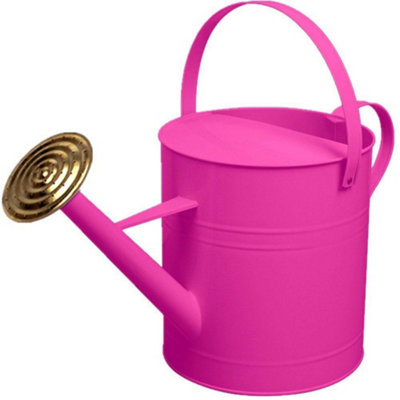 Simpa 9 Litre / 2 Gallon Pink Galvanised Watering Can With Brass Rose. from B&Q