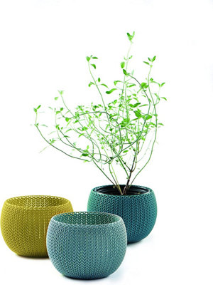 Keter Knit Cozies 3Pc Multi Colour Plastic Plant Pots from B&Q