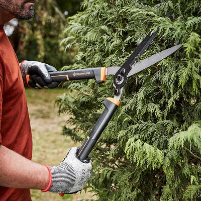 Person wearing gloves using a pair of hedge shears to trim a large hedge.
