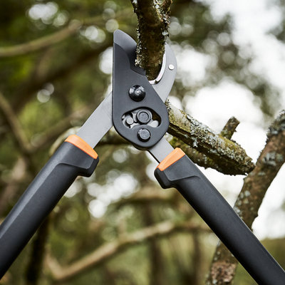 Shop garden hand tools and equipment.