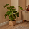 Found it product image.