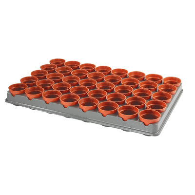 Verve Black & Terracotta Pot & Tray (L)59.5CmSet from B&Q