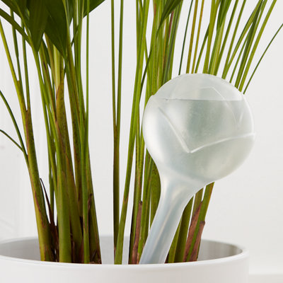 Verve Plant Self Watering BallLarge 360Ml