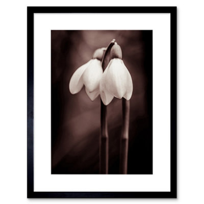 Artery8 Wall Art Print Two Snowdrops Flowers Artwork Framed 9X7 Inch from B&Q