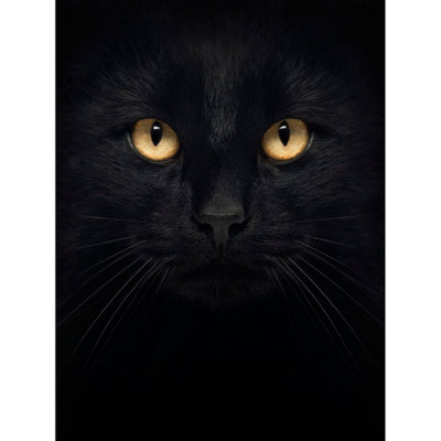 Wee Blue Coo Unframed Wall Art Black Cat Face Close Up12X16 Inch from B&Q