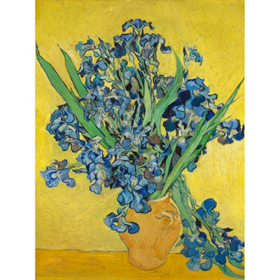 Wee Blue Coo Unframed Wall Art Van Gogh Irises Painting12X16 Inch from B&Q